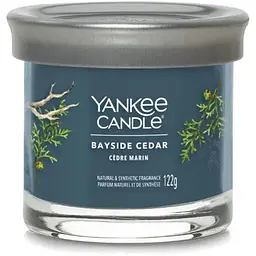 Свічка Yankee Candle Small Bayside Cedar Прибережний кедр 122 г (1744755E) - мініатюра 2