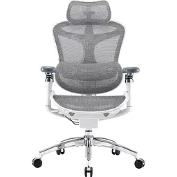 Крісло офісне Sihoo Doro C300 Pro Mesh White (DORO-C300-PRO-M102)