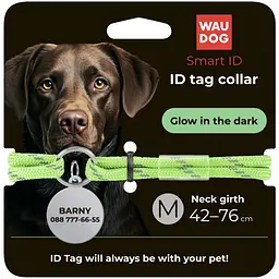 Шнурок для адресника Waudog Smart ID світиться у темряві, світловідбивний, розмір М, довжина 42-76 см салатовий - мініатюра 5