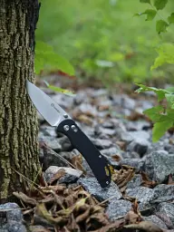 Складаний ніж Ganzo 440C 89 мм Чорний - мініатюра 12
