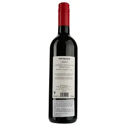 Вино Vini Tiscone Andante Cabernet Sauvignon Trevenezie, червоне, сухе, 0,75 л - мініатюра 2
