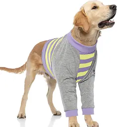 Костюм для відновлення собак Derby Stop Licking Dog Recovery Shirt, Purple, M