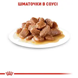 Вологий корм для дорослих котів схильних до надмірної ваги Royal Canin Ultra Light, шматочки в соусі, 85 г - мініатюра 4