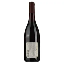 Вино Pierre Andre Cru du Beaujolais Moulin-A-Vent червоне сухе 0.75 л - мініатюра 2