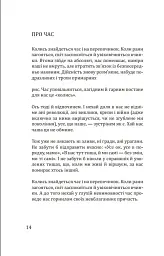 Вади довершеності - мініатюра 11