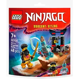 Конструктор LEGO Ninjago Арін проти Дракона: Битва 48 деталей (30700)