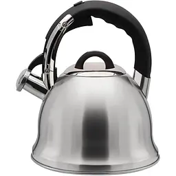 Чайник Zauberg 3.5 л сріблястий (000030810)