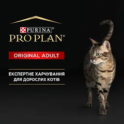 Вологий корм для дорослих котів Purina Pro Plan Adult шматочки в паштеті з куркою 85 г (12458942) - мініатюра 3
