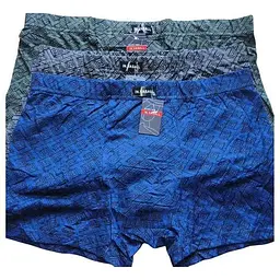 Боксери VASALL 1052 чоловічі Стрейч Бамбук 2шт р.2XL в асортименті
