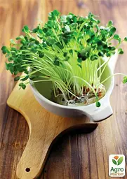 Насіння Agro-Market Мікрозелень Шпинат у банці 15 г (45230) - мініатюра 4