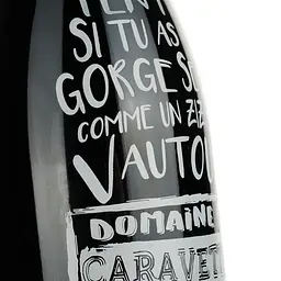 Вино Domaine de Caravette Laisse Toi Tenter IGP Pays D'Oc червоне сухе 0.75 л - мініатюра 3