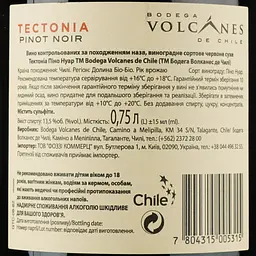 Вино Bodega Volcanes de Chile Tectonia Pinot Noir, червоне, сухе, 13,5%, 0,75 л (722968) - мініатюра 3