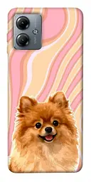 TPU чохол Demsky Pastel spitz для Motorola Moto G14
