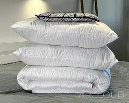 Ковдра зимова ArCloud For 4 seasons 200х220 + 2 подушки ArCloud For 4 seasons 50х70 у пакеті + постільна білизна LARA бязь євро модель на вибір