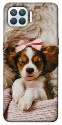 TPU чохол Demsky Sleepy spaniel для Oppo F17 Pro