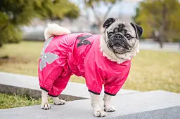 Комбінезон Smart Pet Метелик - мініатюра 4