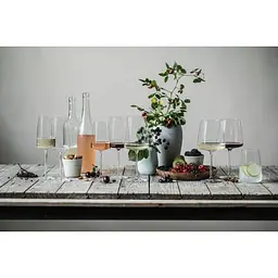 Келих для білого вина Schott Zwiesel Light & Fresh Vivid Senses 363 мл 1 шт. (122426) - мініатюра 6