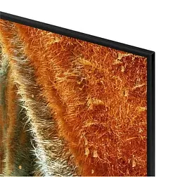 Телевізор Samsung QE55QN70FAUXUA - мініатюра 4