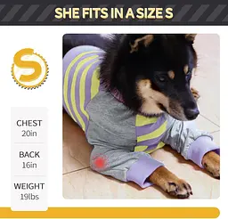 Костюм для відновлення собак Derby Stop Licking Dog Recovery Shirt, Purple, 2XL - мініатюра 4