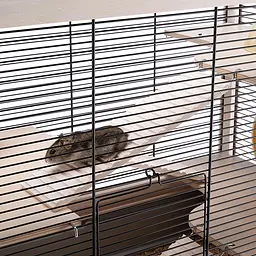 Деревяна клітка Ferplast Hamsterville для хом`яків та мишей - мініатюра 7