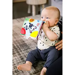 Книжка-гризунець Baby Einstein Teather Book (11794) - мініатюра 8