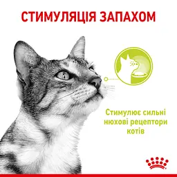 Уцінка. Набір вологого корму для дорослих котів Royal Canin Sensory Smell Jellyшматочки в желе 1.02 кг (12 шт. х 85 г) - мініатюра 6