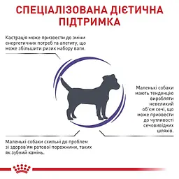 Сухий корм для для стерилізованих собак малих порід Royal Canin Neutered Adult Small Dogs 800 г - мініатюра 2