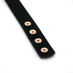 Нашийник із затискачами для сосків Liebe Seele Rose Gold Memory Collar With Nipple Clamps - мініатюра 7