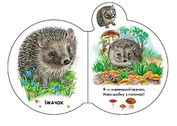 Малята: У лісі Ранок М411017У Різнокольоровий (9789667508609) shop (9789667508609) - мініатюра 2