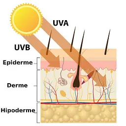 Сонцезахисний крем для обличчя Hillary SPF 50+ VitaSun Daily Defense Cream 40 мл - мініатюра 6
