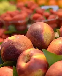 Саджанець Agro-Market Персик Ерлі Хрест (літній сорт, дуже ранній термін дозрівання) (25788) 1 шт. в упаковці - мініатюра 3