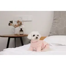 Трикотажний костюм для собак, рожевий M Cheepet zoo0005660 - мініатюра 7