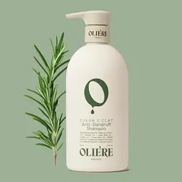 Шампунь проти лупи OLIE'RE PARIS Color E'Clat Anti-Dandruff Shampoo 500 мл - мініатюра 2