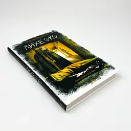 Лихе око. Павутиння мороку - Андрей Кокотюха | Клуб Сімейного Дозвілля, книга українською, нова, тверда - мініатюра 2