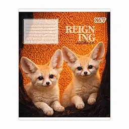 Упаковка зошитів учнівський Yes Reign ing А5 / 48 кл. 10 шт. (769096) - мініатюра 3