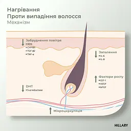 Энзимный пилинг для кожи головы + Набор для жирного типа волос Green Tea Phyto-essential Hillary - миниатюра 11
