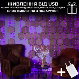 Гірлянда штора роса 3х3 RGB Niki Light роса від юсб роса на пульті завіса 300 LED різнокольорова 16 кольорів - мініатюра 6