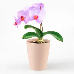 Горщик для квітів МВМ My Home, 16 см, рожевий (DH-FLOWERS-29 PINK) - мініатюра 3