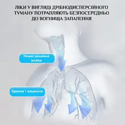 Меш небулайзер/ інгалятор ультразвуковий ручний від мрежі/ батарейок Nebulizer N1 білий - мініатюра 3