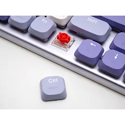 Клавіатура Thunderobot K96 Tri-mode Red Switch UA Purple (6932066308223) - мініатюра 9