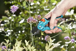 Секатор Gardena PremiumCut fresh wood обвідний 22 мм - мініатюра 5