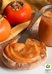 Саджанець Agro-Market Хурма помаранчева Солодкість (Sweetness) 1 шт. в упаковці (44809) - мініатюра 6