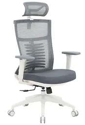 Офісне крісло OfficePro Balance OC550-W-DG-OR (OC550-W-DG-OR)