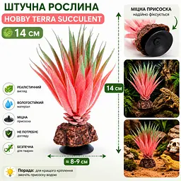 Штучна рослина Hobby Terra Succulent 1 14 см (37730) для тераріуму, акватераріуму та палюдаріуму - мініатюра 2