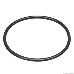 Ущільнювальне кільце для Eheim universal/Professionel 3e 450/600/700 (1250, 2076/78) (7221058) - мініатюра 2