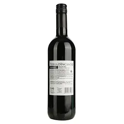 Вино Terra d'Incanto Rosso червоне сухе 0.75 л - мініатюра 2