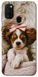 TPU чохол Demsky Sleepy spaniel для Samsung Galaxy M30s / M21