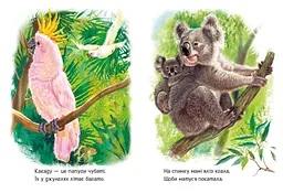 Малятам про звіряток. Лісові звірята - Геннадій Меламед (М212015У) - мініатюра 3