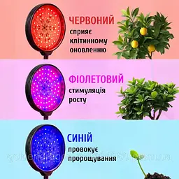 Фітолампа для рослин із таймером і регулюванням яскравості • Кругла LED-лампа для квітів на 4 головки - мініатюра 5