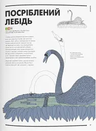 Роботландія, Бeрта Парамо/ - мініатюра 9